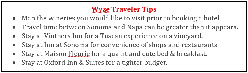 Wyze Traveler Tips