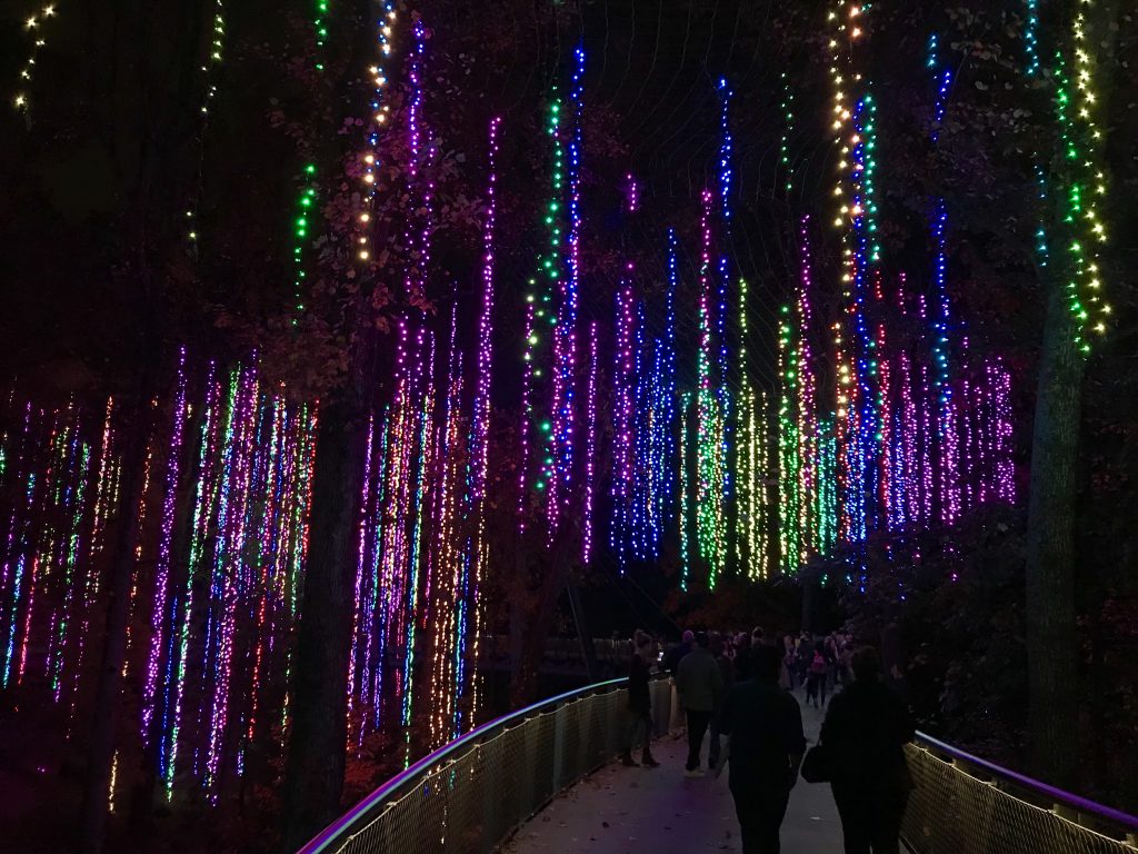 Garden Lights at Atlanta Botanical Garden- Nature's Wonders