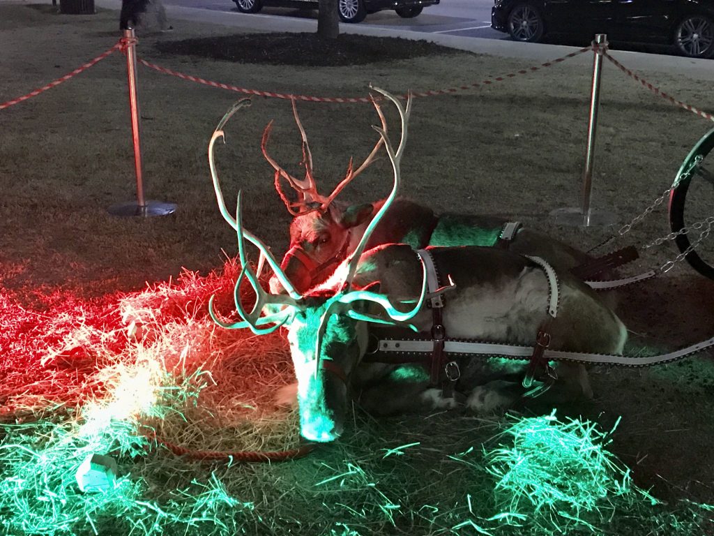 Holiday on the Town at Town Brookhaven Reindeer