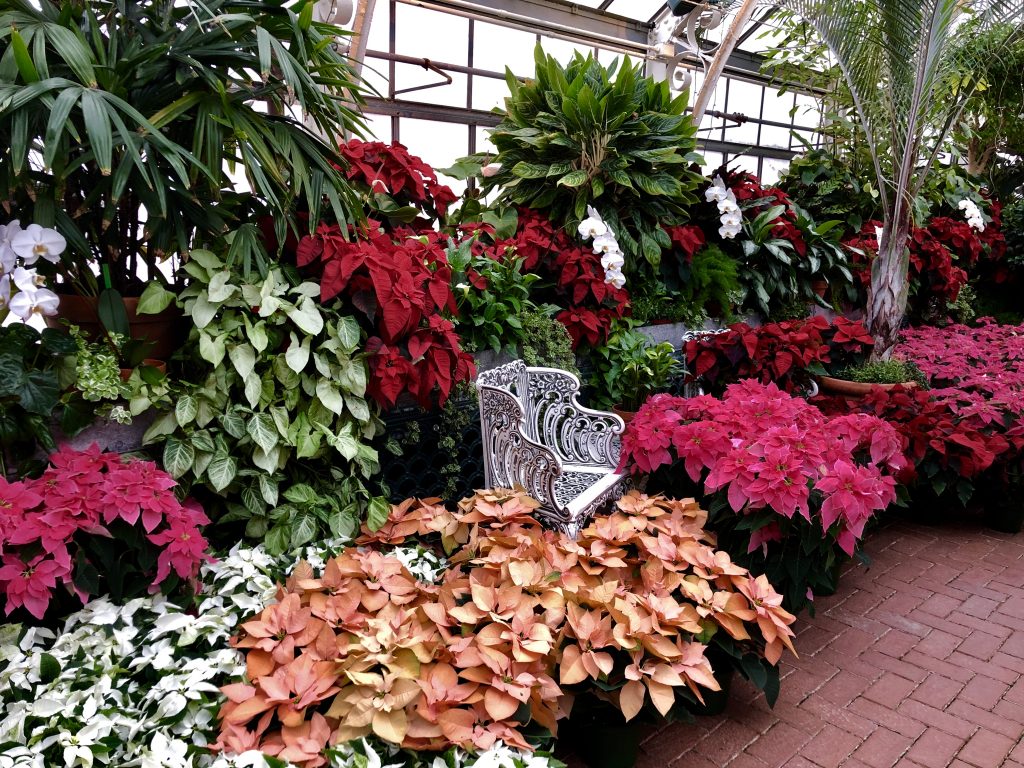 Christmas at the Biltmore- Conservatory
