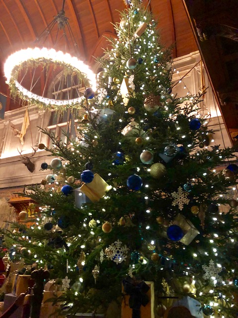 Live Tree in Banquet Hall
