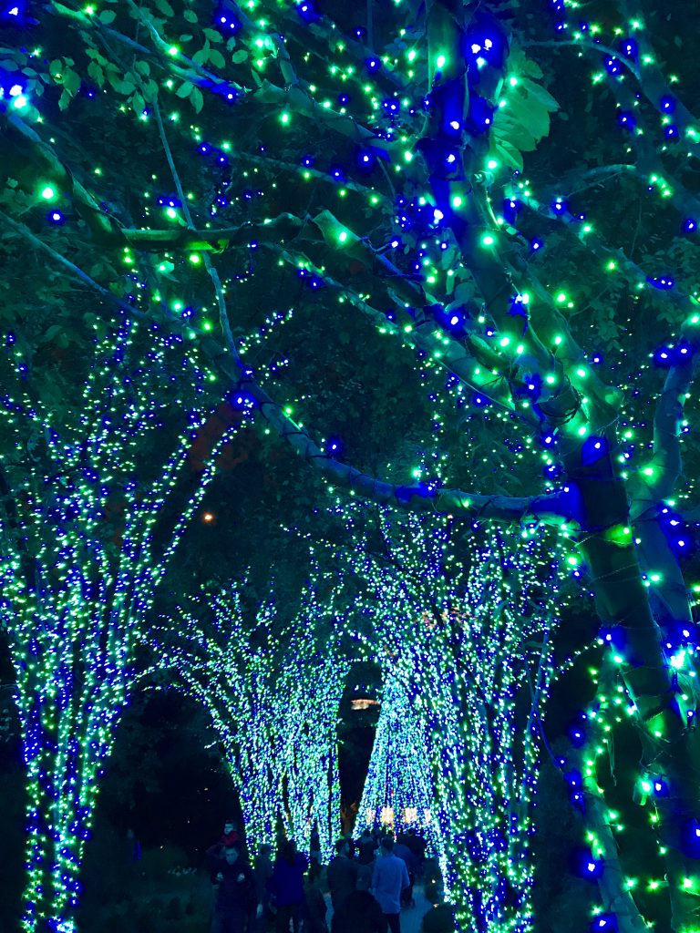 Garden Lights at Atlanta Botanical Garden